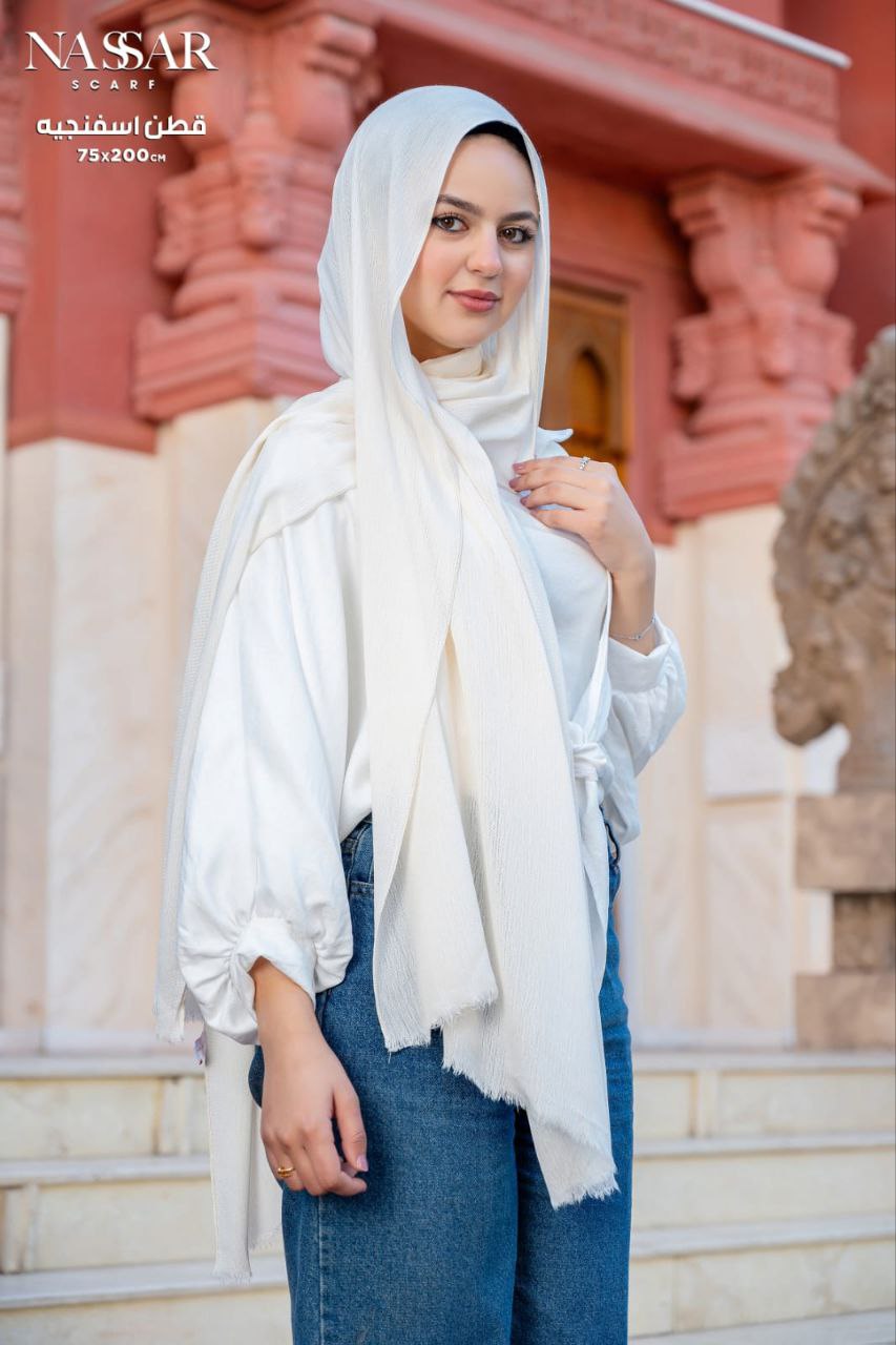 سفنجه ساده سفنجه ساده