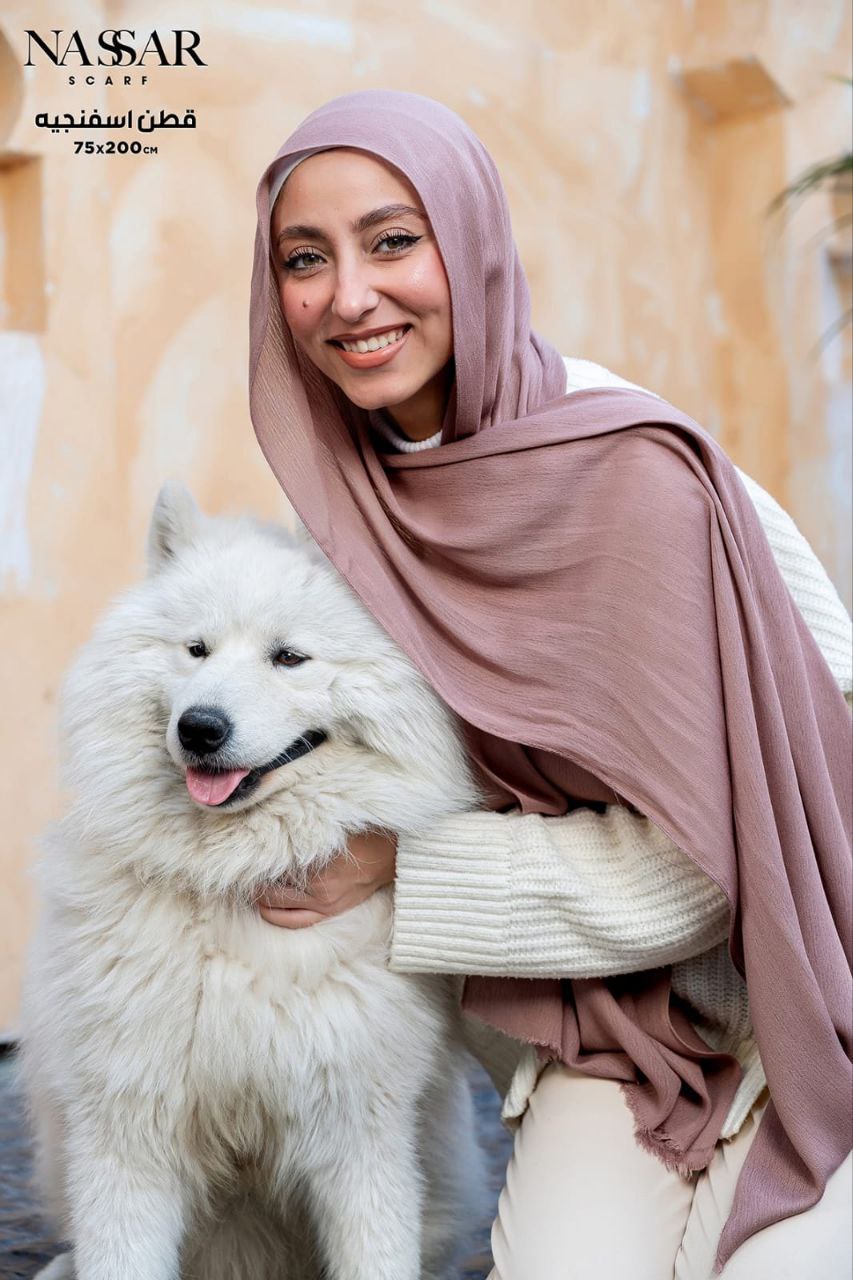 سفنجه ساده سفنجه ساده